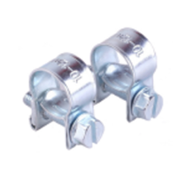 Mini Screw-Type Hose Clamps