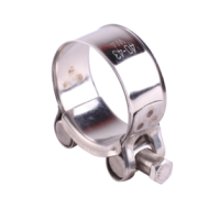 Stainless Steel Bolt Hose Clamps